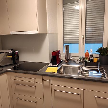 Bastis Family Apartment Lucerne ภายนอก รูปภาพ
