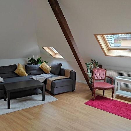 Bastis Family Apartment Lucerne ภายนอก รูปภาพ