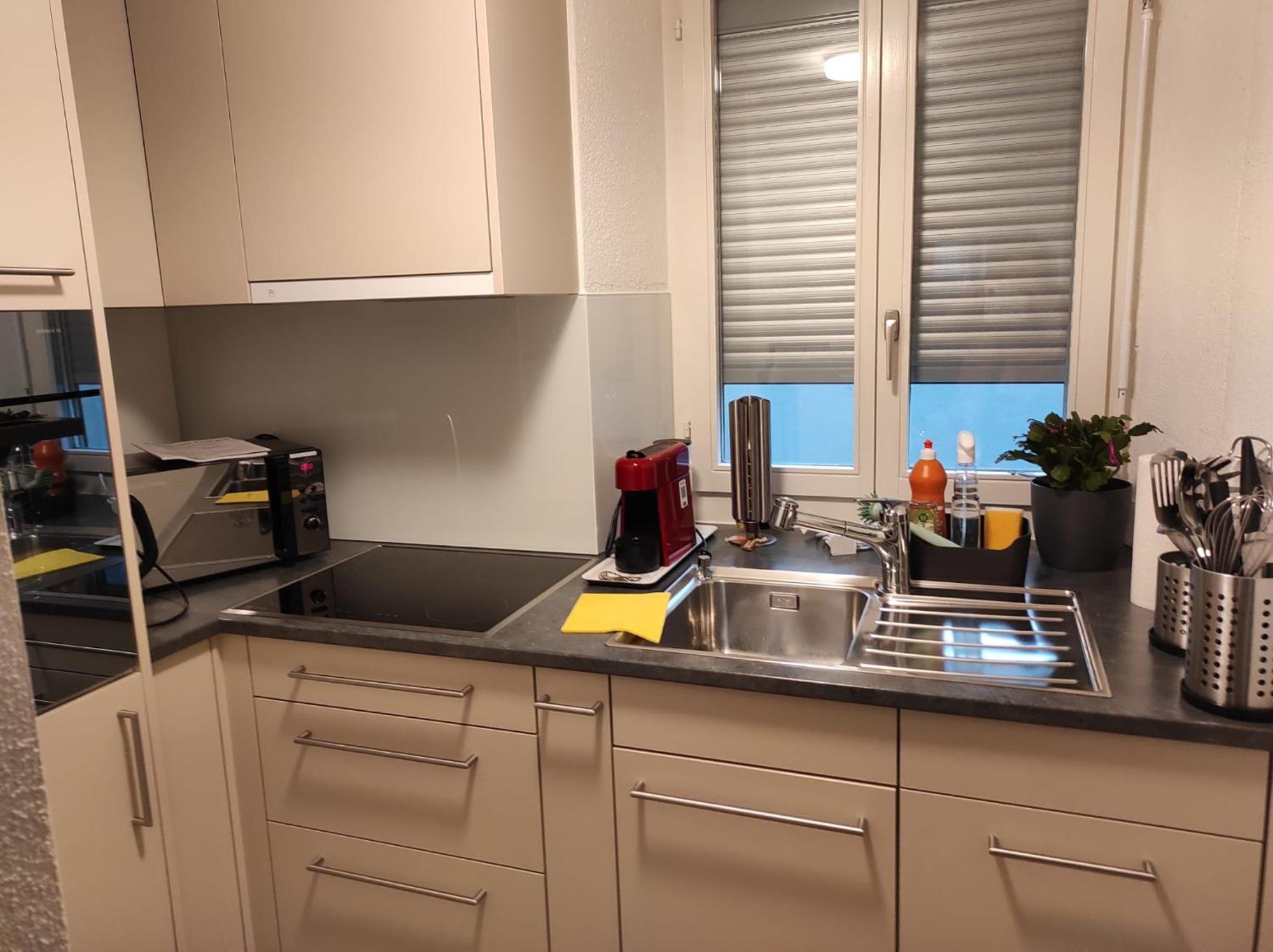 Bastis Family Apartment Lucerne ภายนอก รูปภาพ