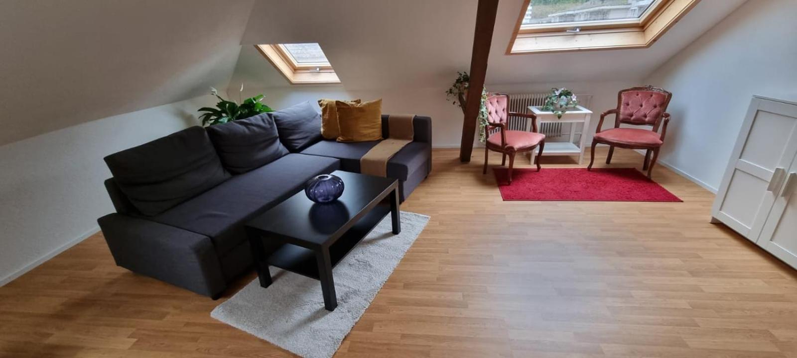 Bastis Family Apartment Lucerne ภายนอก รูปภาพ